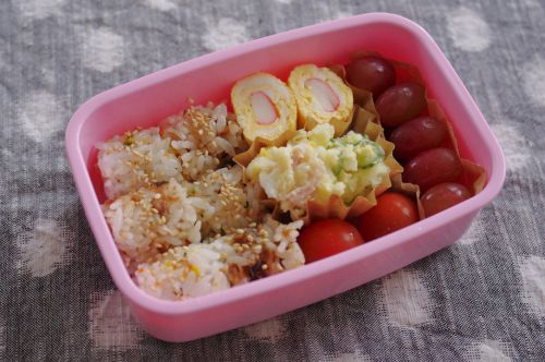 今日はこれだけ、の子ども弁当